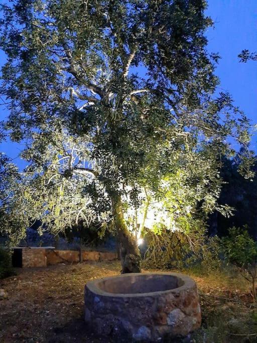 Quinta Do Cerro Sao Vicente Villa Albufeira Eksteriør billede