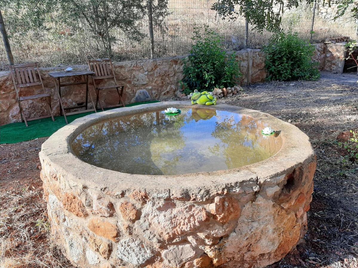 Quinta Do Cerro Sao Vicente Villa Albufeira Eksteriør billede